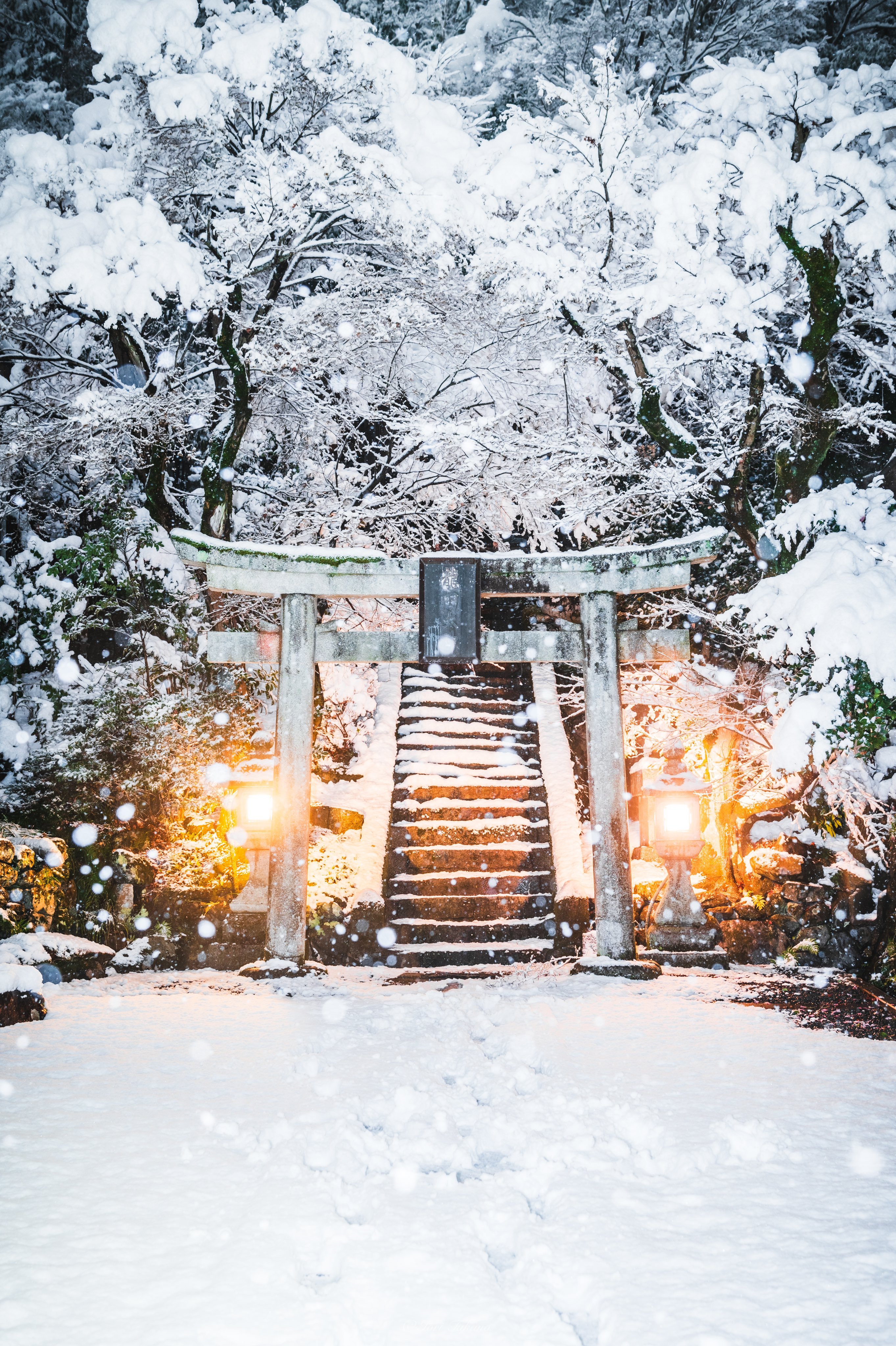 晴れた日の雪景色: 只見町ブナセンター