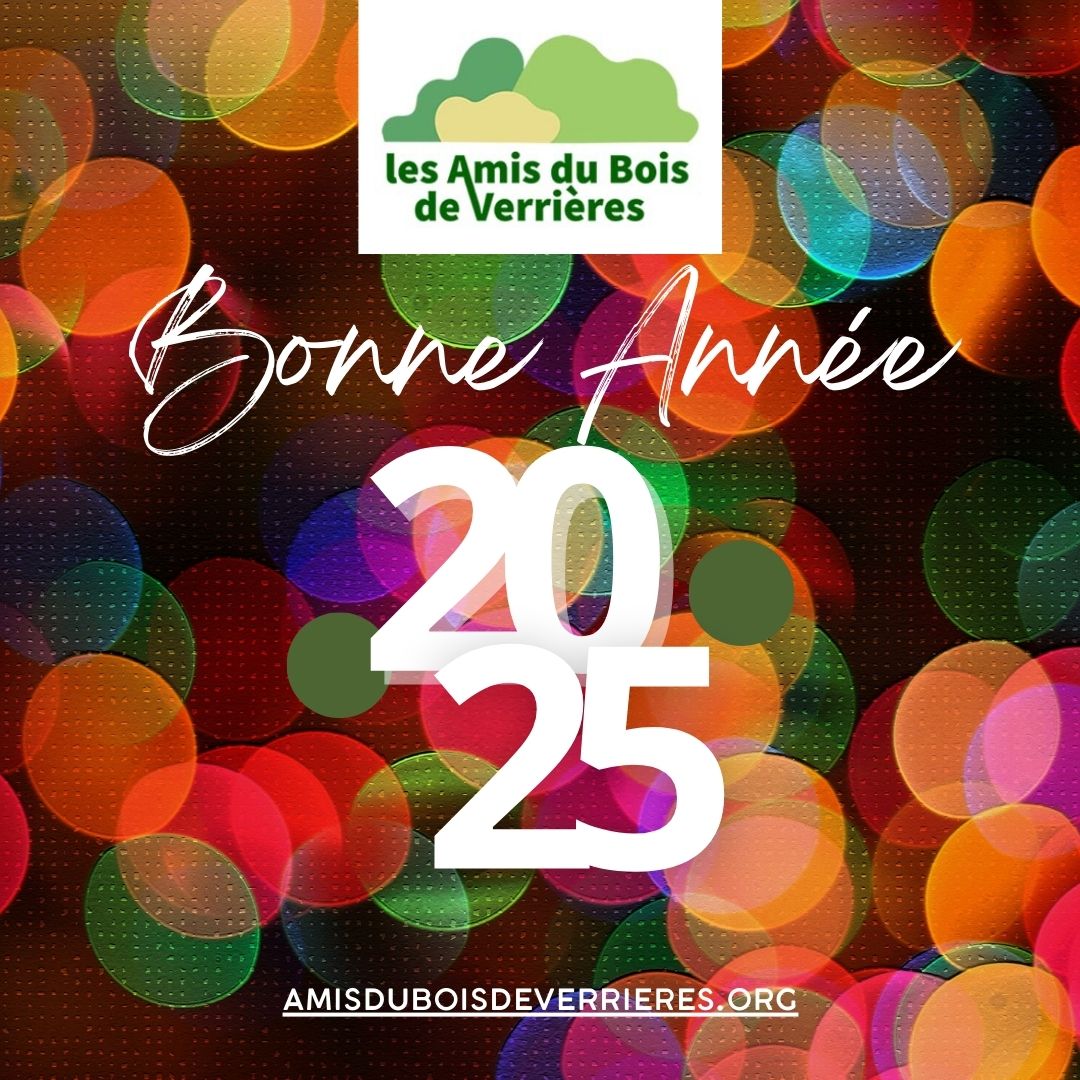 En ce début d’année 2025, nous vous adressons nos vœux les plus chaleureux. Ensemble, poursuivons notre belle mission : protéger et préserver notre patrimoine commun, la #forêt de Verrières. 🌳
Pour nous soutenir en 2025 : amisduboisdeverrieres.blogspot.com/p/adhesion-en-…