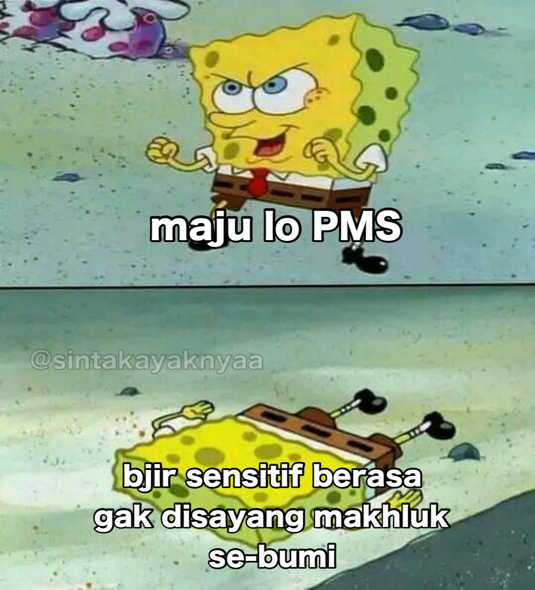 Sinta (@sintakayaknyaa) on Twitter photo 