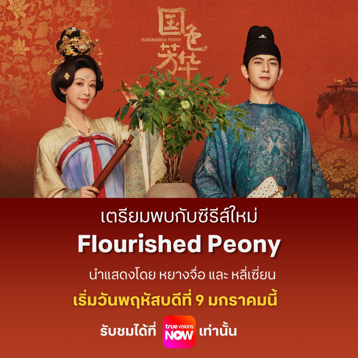 TrueVisions's tweet photo. ซีรีส์ใหม่!  Flourished Peony งามบุปผาสกุณา
เริ่ม 9 มกราคมนี้ทางแอป #TrueVisionsNow เท่านั้น
 
นำแสดง #หยางจื่อ #หลี่เซี่ยน #เว่ยเจ๋อหมิง #จางหย่าฉิน

#FlourishedPeony 
#งามบุปผาสกุณา
#国色芳华 
#ซีรีส์จีน https://t.co/pECLT82mTP