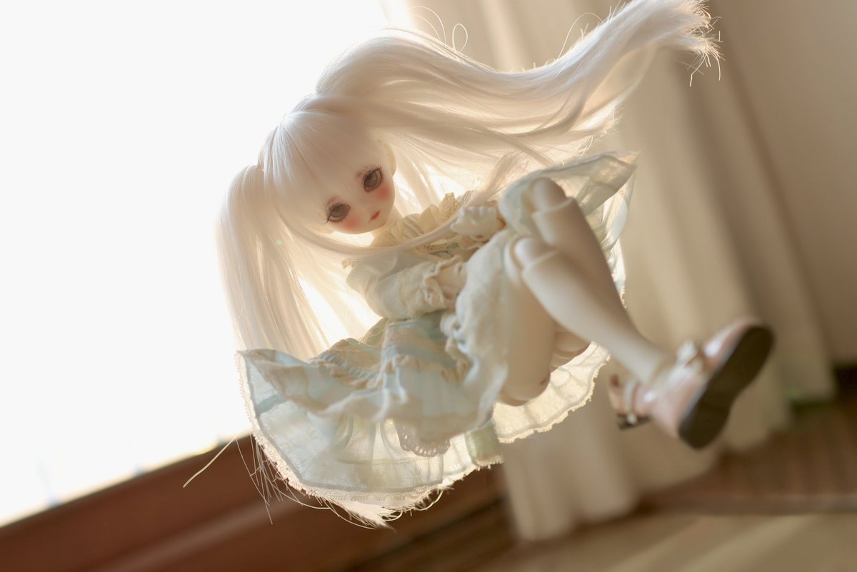 먀지 (@myaji___) on Twitter photo 