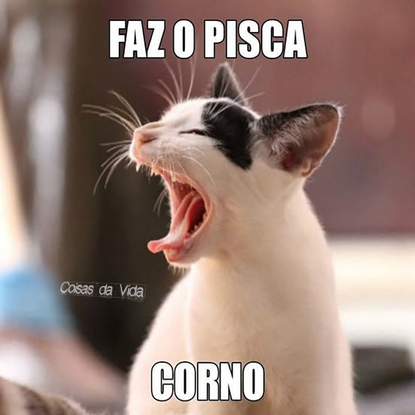 Coisas da Vida (@coisas_da__vida) on Twitter photo 