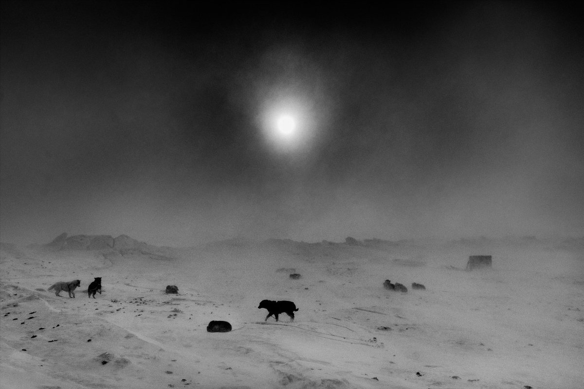 Twenty-five below zero, and the horizon holds its glow just a little longer. In Qaanaaq, Thule, the days begin to grow again.