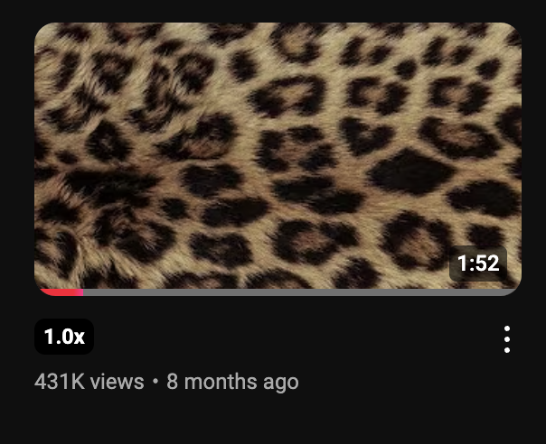 This one is truly unbelievable. Thumb is a cheetah print. And the video HAS NO TITLE!!! 431K views....WOWZA 😮