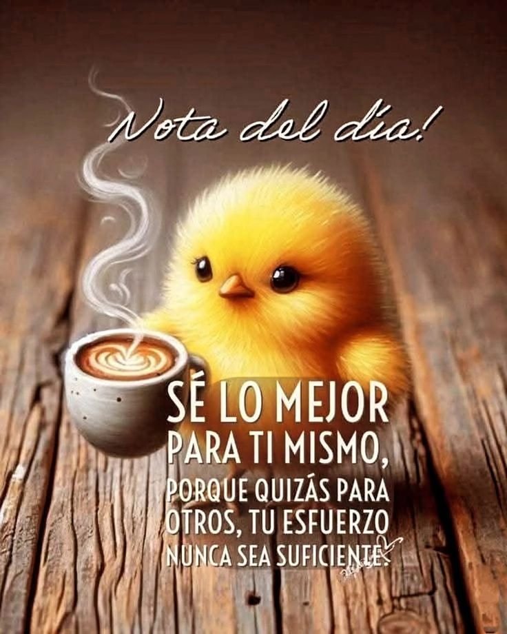 militza andreina cepeda bracho (@cepeda_bracho) on Twitter photo 