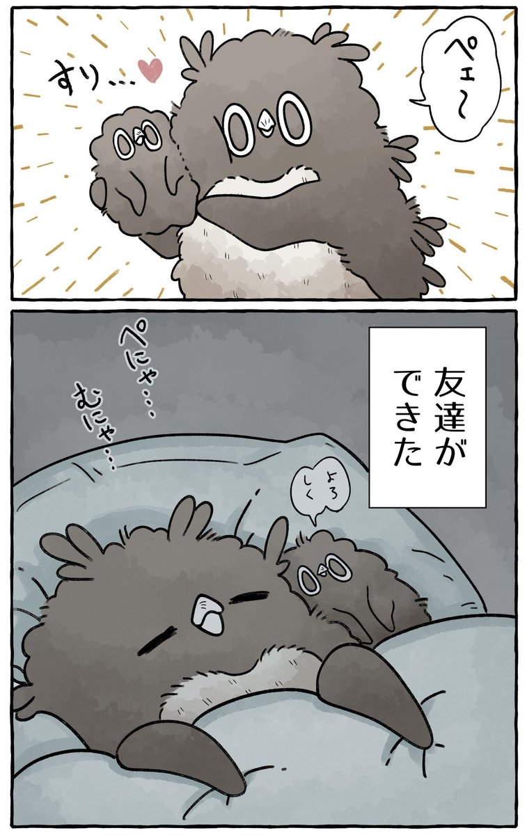 (6/6) 