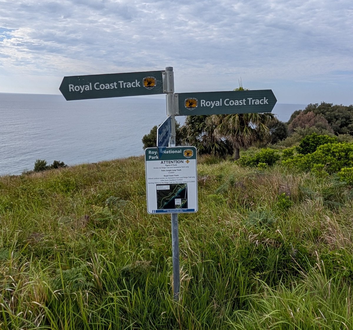 venivedivicky's tweet photo. Wrapped up the holiday season with a run along the most scenic royal coastal track along Royal national park #ExploreNSW #RoyalNationalPark #DJINeo #Trailrunning https://t.co/GlN0HP6ccd