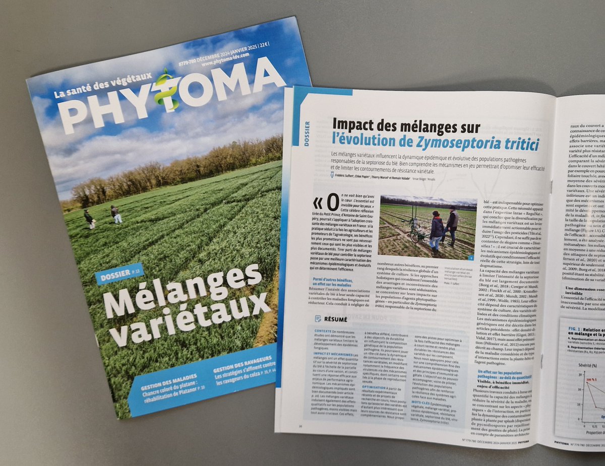 Frédéric Suffert (@wheatpath) on Twitter photo Désireux d'en savoir plus sur l'impact des mélanges variétaux sur l'évolution de #Zymoseptoria tritici (septoriose du #blé) et les travaux @INRAE_Bioger <a href="/arvalispatho/">Romain Valade</a> en cours ? Je vous invite à lire notre article et le dossier du n°779-780 <a href="/Phytoma_ldv/">Vidril Valérie</a> phytoma-ldv.com. Désireux d'en savoir plus sur l'impact des mélanges variétaux sur l'évolution de #Zymoseptoria tritici (septoriose du #blé) et les travaux @INRAE_Bioger <a href="/arvalispatho/">Romain Valade</a> en cours ? Je vous invite à lire notre article et le dossier du n°779-780 <a href="/Phytoma_ldv/">Vidril Valérie</a> phytoma-ldv.com.