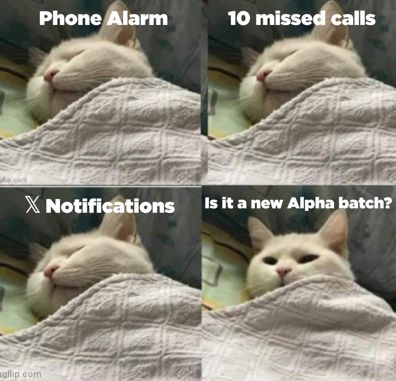 Binance Wallet tweet media