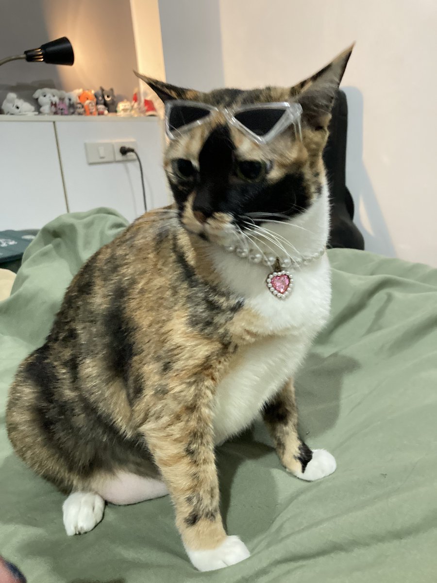 น้องเคธี่กับแว่นปราด้าพร้อมโมจิสตอเบอยี่ของเค้า แอบติดแกลมเว่ออ😎💅