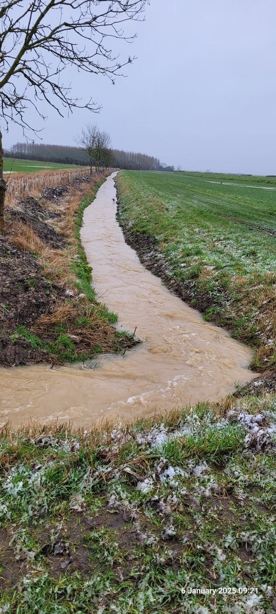 Pleased we had this main drain through the farm done out pre Xmas, not that I expected nearly 50mm of rain. Thanks to Mathew Dring for getting the job done.
#environment 
#preventflooding
#watermanagement
#farmerscare