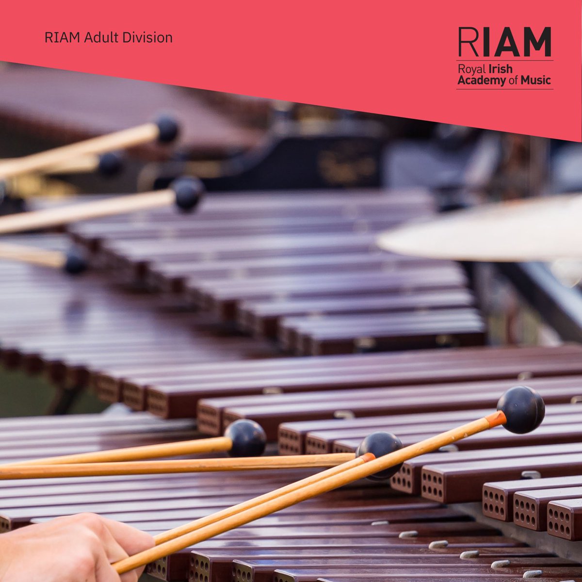RIAMDublin (@riamdublin) on Twitter photo Adult Division - Group Percussion Classes
Join our 10-classes course for Beginner / Intermediate level and explore a range of percussion instruments, such as marimba, vibraphone, xylophone, drum kit, hand percussion and other.
Start: Monday 20th January
my.riam.ie/w/ir/courses/9… Adult Division - Group Percussion Classes
Join our 10-classes course for Beginner / Intermediate level and explore a range of percussion instruments, such as marimba, vibraphone, xylophone, drum kit, hand percussion and other.
Start: Monday 20th January
my.riam.ie/w/ir/courses/9…