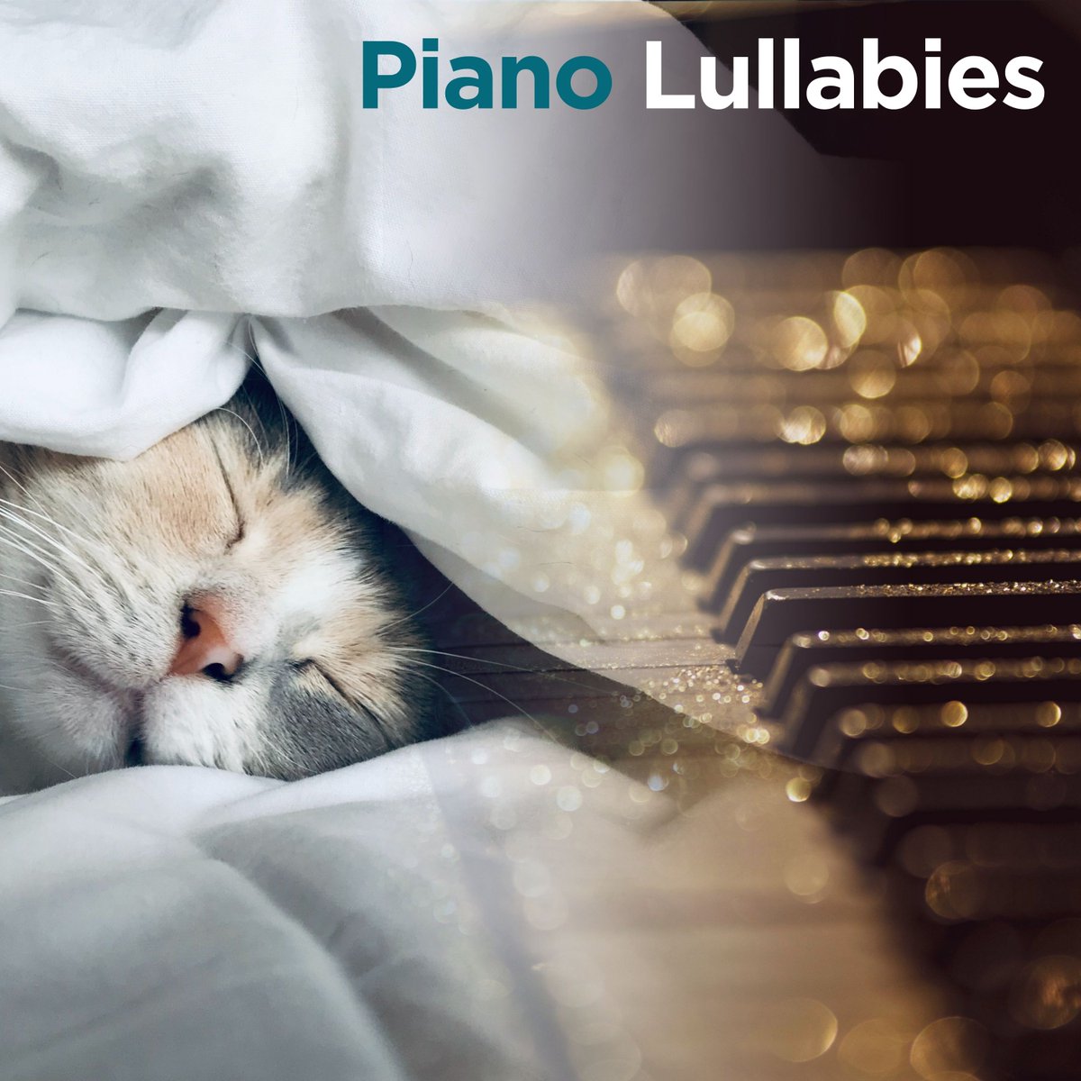 François Maillard - Byebyefish (@byebyefish) on Twitter photo Added in #Piano #Lullabies #playlist!🌛🎹
<a href="/mindypiano/">Mindy Chuang 🎹</a>
<a href="/CKorotaeva/">Christina Korotaeva</a>
And more!
#classical #pianomusic #modernclassical
On <a href="/Spotify/">Spotify</a>:
open.spotify.com/playlist/2NITi…
& <a href="/pandoramusic/">Pandora</a>:
pandora.app.link/zh2EPKTTbDb Added in #Piano #Lullabies #playlist!🌛🎹
<a href="/mindypiano/">Mindy Chuang 🎹</a>
<a href="/CKorotaeva/">Christina Korotaeva</a>
And more!
#classical #pianomusic #modernclassical
On <a href="/Spotify/">Spotify</a>:
open.spotify.com/playlist/2NITi…
& <a href="/pandoramusic/">Pandora</a>:
pandora.app.link/zh2EPKTTbDb