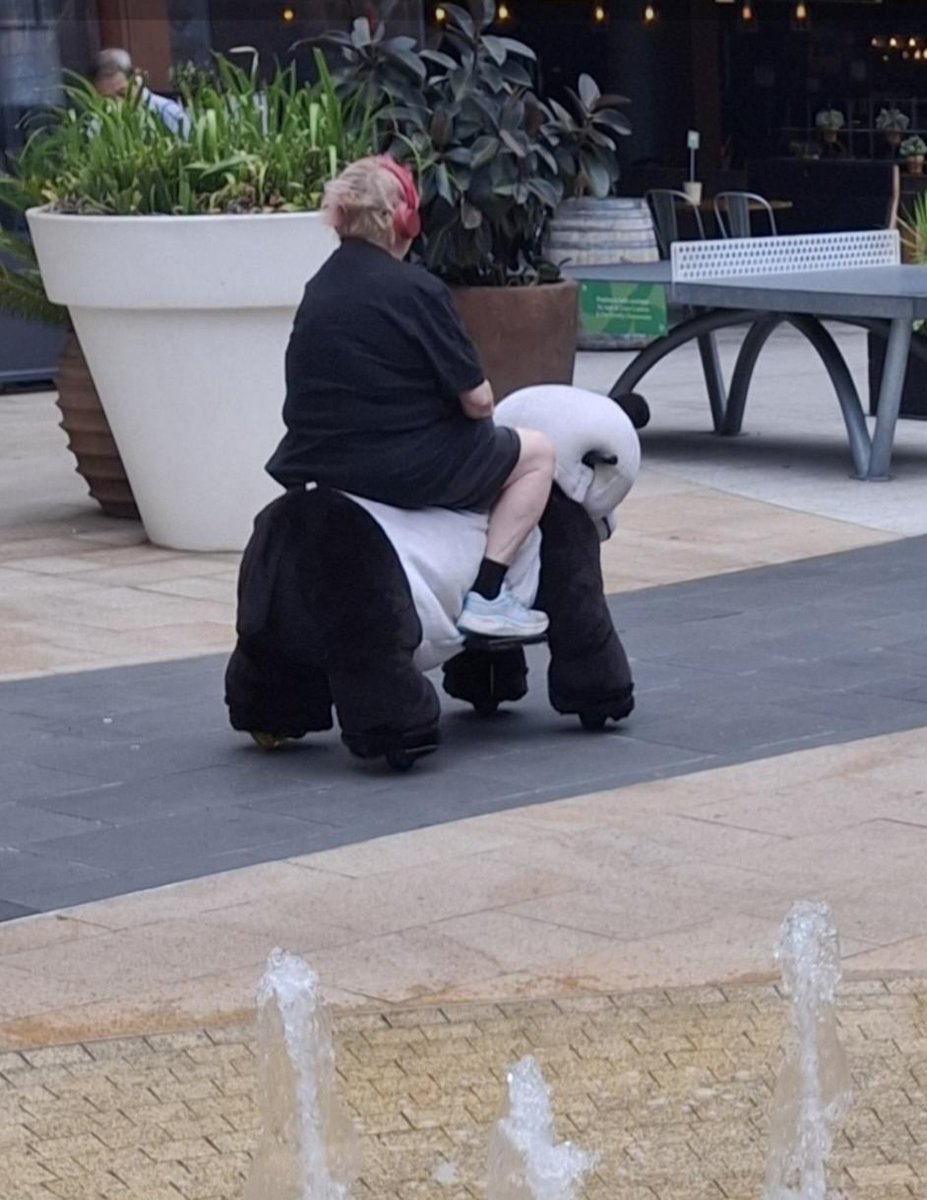 Jen Carnovale tweet media