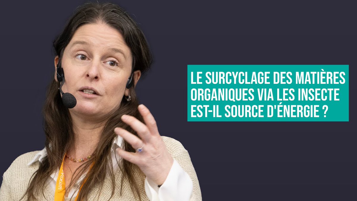 LE SURCYCLAGE DES MATIÈRES ORGANIQUES VIA LES #INSECTES EST-IL SOURCE D'ÉNERGIE ? Marie-Hélène Deschamps à #TimeWorldEvent youtu.be/x2zi2ffdhLA