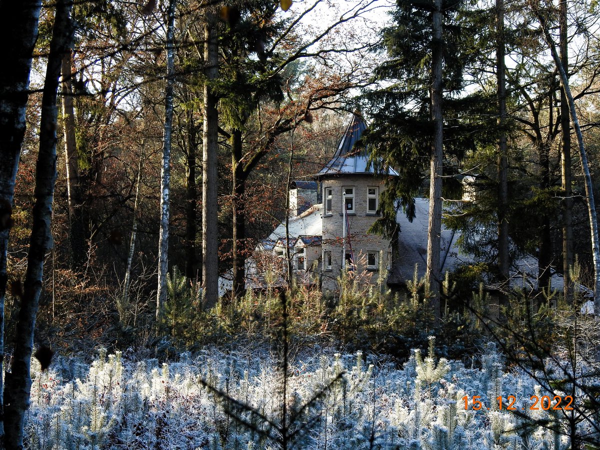 fredhendrik18's tweet photo. Sallandse Heuvelrug. https://t.co/BtWZ9KOJ0w