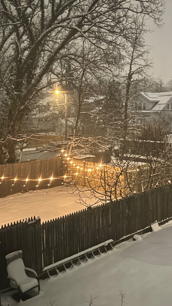 Andrea Kavanagh tweet media