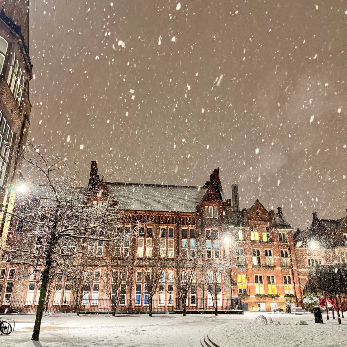 Welcome back everyone, we hope you had a refreshing winter break! Here's a glimpse of the snowy scenes on campus from this weekend ☃️

As we kick off the next three weeks of exams and assessments, we want to wish everyone the best of luck - stay focused and keep going, you've got