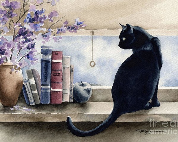 bookcatbliss's tweet photo. https://t.co/PLRBcxyKli