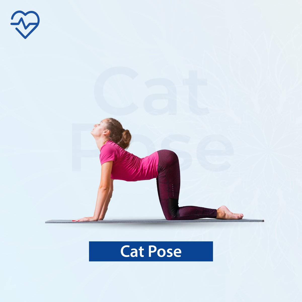 allcuresinfo's tweet photo. Feeling Stressed? Try these yoga poses to relax &amp; sleep better:
- Cat Pose
- Eagle Pose 
- Standing forward bend pose

Get Expert doctor consultation today: https://t.co/q8hdwETlQU

#Yoga #healthcare https://t.co/2WfBhMAg8s
