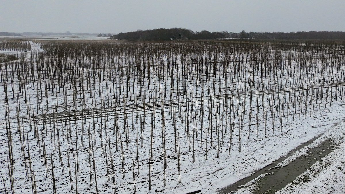 Snowy scenes on our tree fields in Southport yesterday. All gone today! 
.
#snow #uksnow #southport #treenursery #ukgrower #dronephotography #jajonesuk