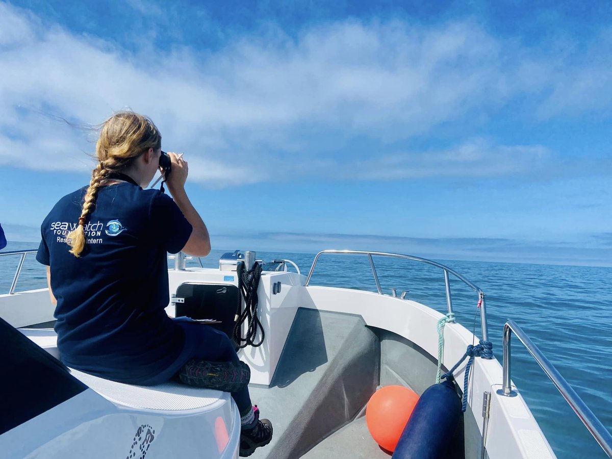 Katrin L (@welshcetaceans) on Twitter photo <a href="/BeASeaChanger/">Sea-Changers</a> We are looking for our 2025 intern #team! If you are looking to gain experience in conservation and want to work with #dolphins next summer, check out the
<a href="/SeaWatchersUK/">Sea Watch Foundation</a> #internships! Bursary and accommodation provided for Research Assistant. <a href="/BeASeaChanger/">Sea-Changers</a> We are looking for our 2025 intern #team! If you are looking to gain experience in conservation and want to work with #dolphins next summer, check out the
<a href="/SeaWatchersUK/">Sea Watch Foundation</a> #internships! Bursary and accommodation provided for Research Assistant.
