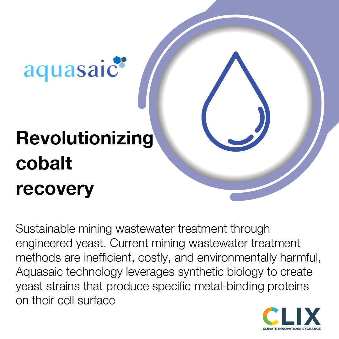 WFES's tweet image. [2/2] Dive into cutting-edge advancements in renewable energy and pioneering climate innovations. Don’t wait—register for your complimentary pass today and be part of the change: bit.ly/3U01I6y

#WFES #WFES2025 #CLIX #Startups #SMEs #Innovation #Technology #ClimateTech
