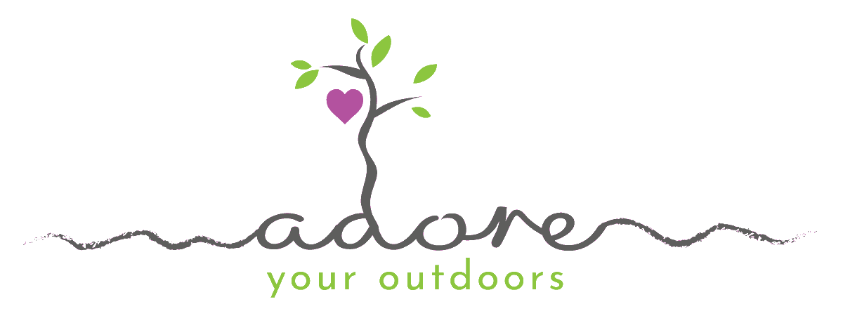 IOLOutdoorProfs's tweet image. Are you ready to answer the call of the wild? 
New 3-day course to become a certified Forest Bathing Guide with Adore Your Outdoors - new members of IOL.
Starting April or May or June 2025.
adoreyouroutdoors.co.uk/forestbathingg…
#outdoorlearning #forestbathing #practitionercourse