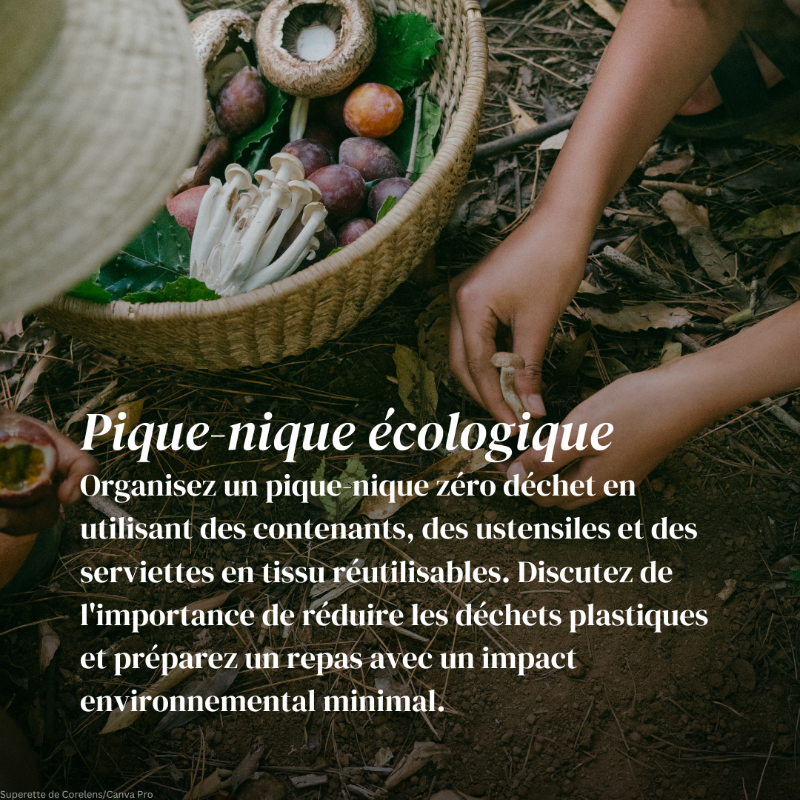Transformez les moments passés en famille en moments consacrés à la nature : voici 5 activités qui enseignent aux enfants le plaisir de prendre soin de la planète.

Quelles sont vos activités écologiques préférées ? 

Partagez-les dans les commentaires et inspirez les autres