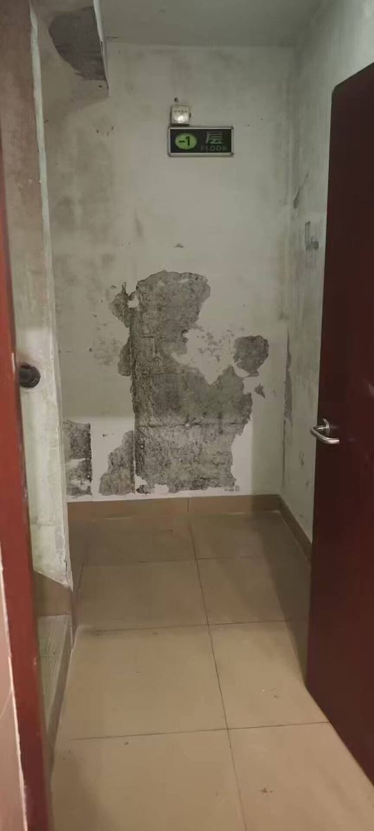 TenguBunbunmaru's tweet image. AAAAAAAAAAAAAAAAAAAAAAAAAA