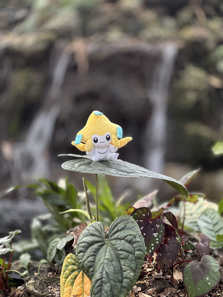 iLnotserP's tweet image. 🌱