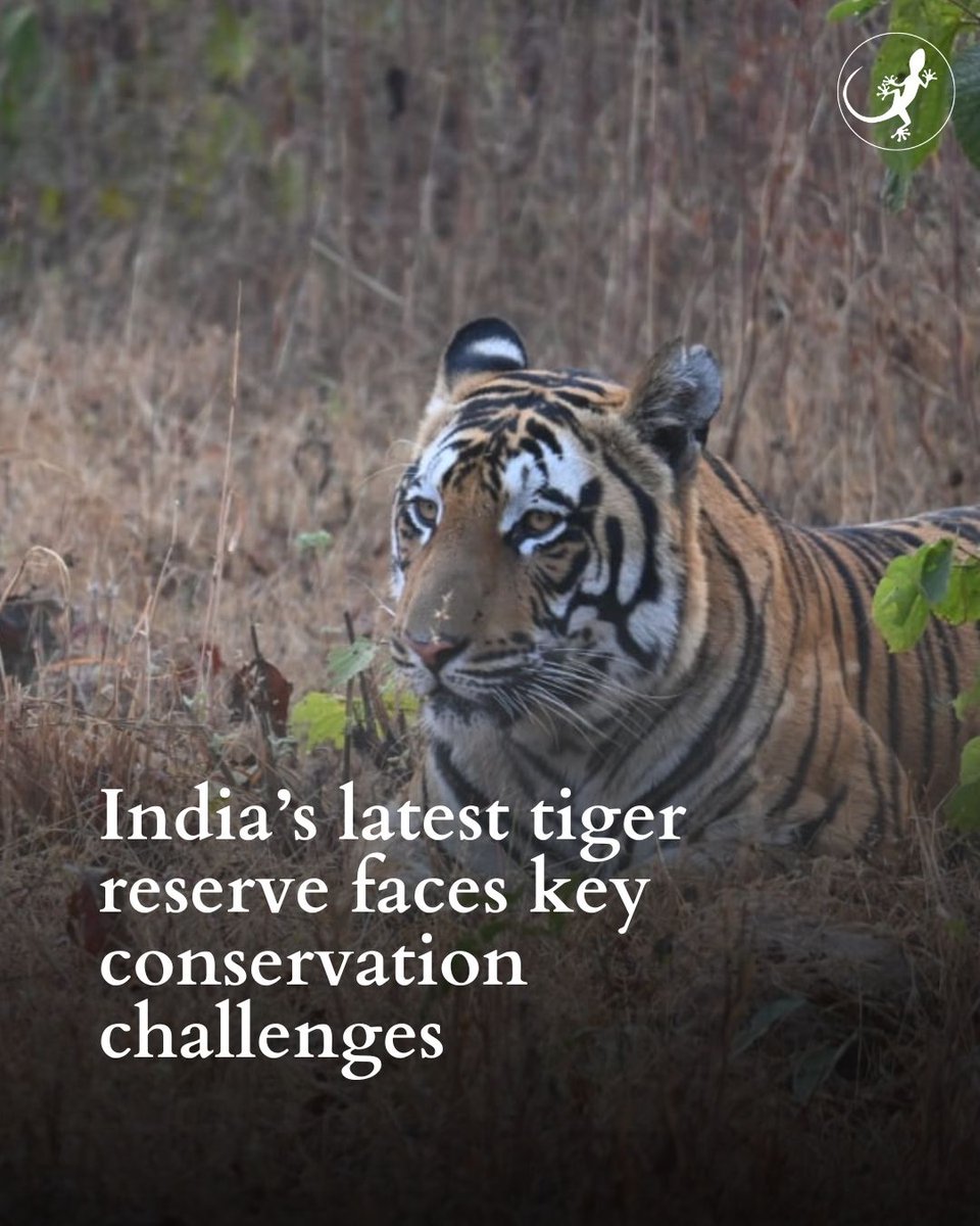 Mongabay India tweet media