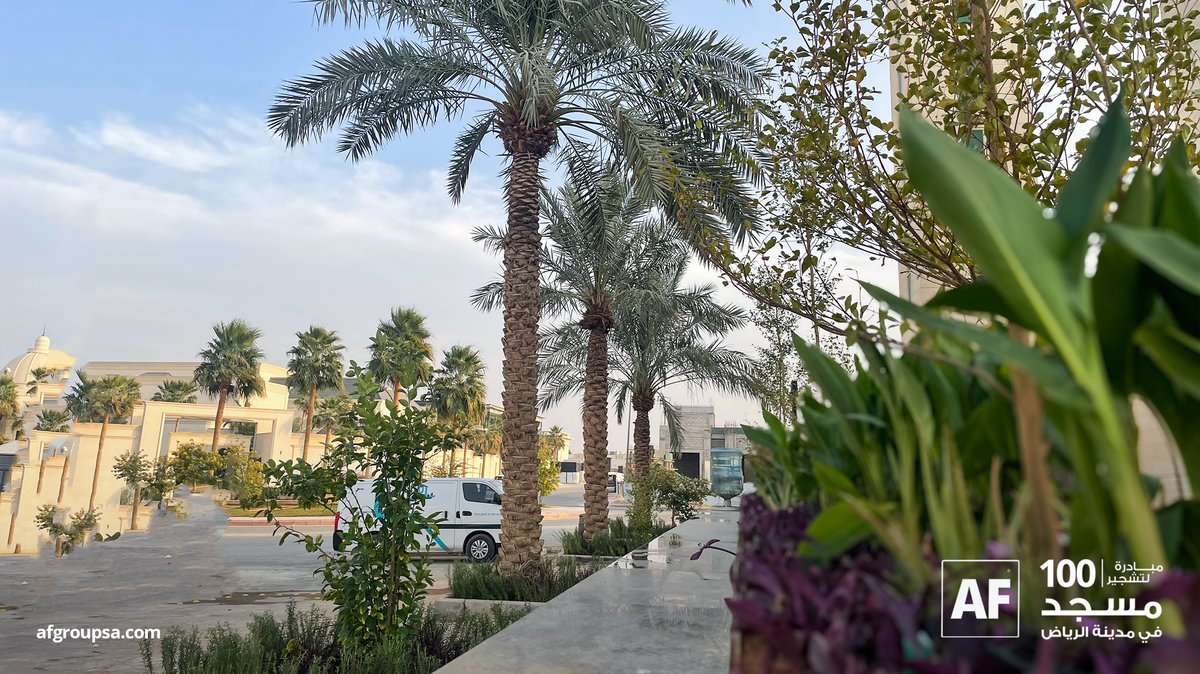 مع أولى خطواتنا في مبادرة تشجير 100 مسجد في الرياض،
نبدأ بغرس الأشجار وتحقيق الأثر.

With the first step in our initiative to green 100 mosques in Riyadh,
we plant trees and make an impact.

#Greening_100_Mosques #AFGroup #Riyadh