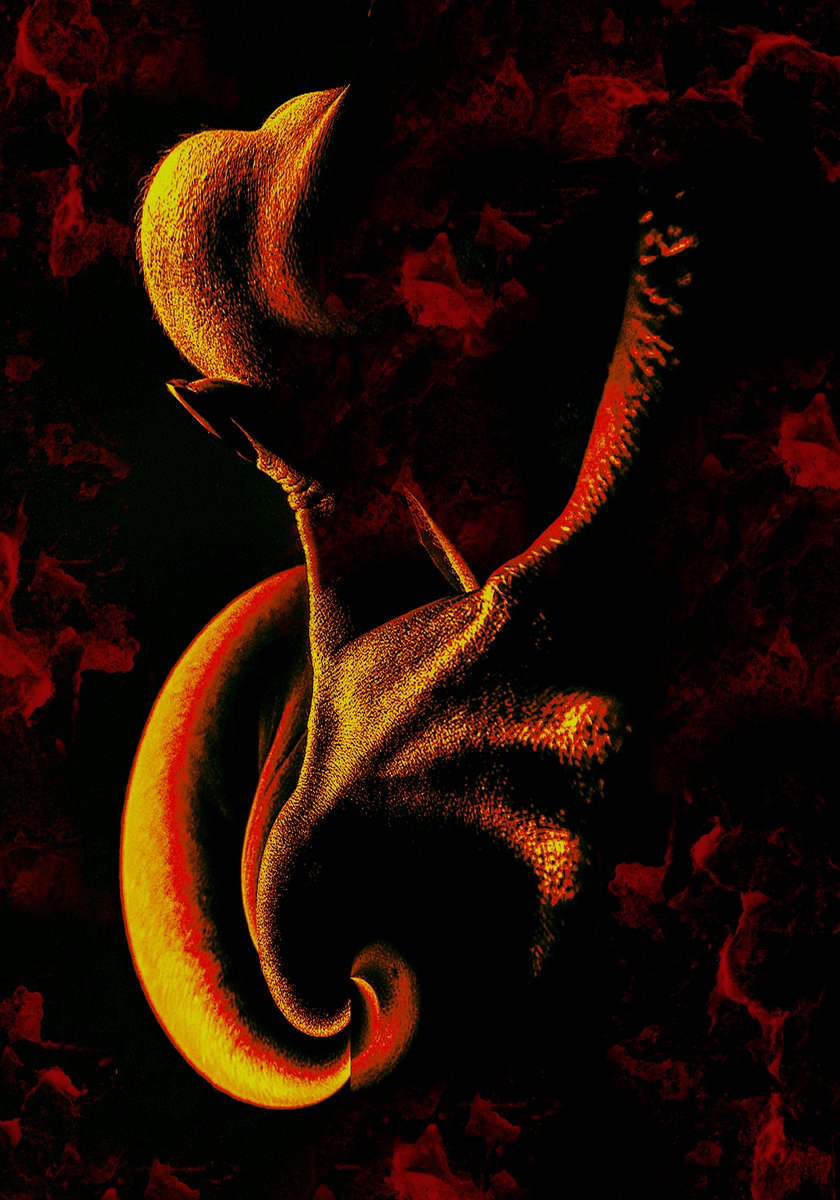 ❗️MY NEW VISUAL ART in 2025❗️

                    Before                 \                    After ...

Have a great day fam  🍁