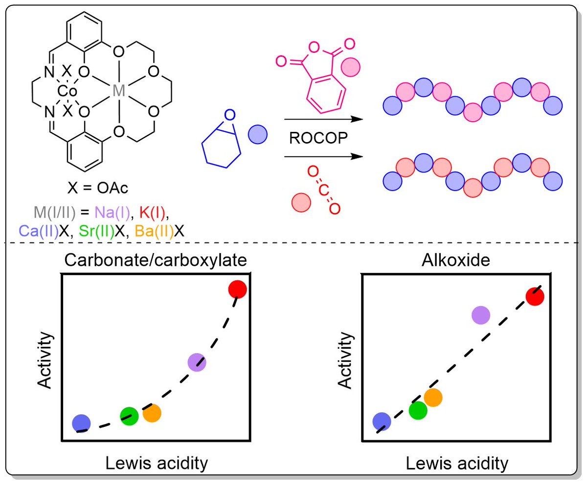 Williams Group (@williamsgroupox) on Twitter photo Our first paper of 2025 is now out in <a href="/angew_chem/">Angewandte Chemie</a>!
Check out “Structure-Activity Relationships for s-Block Metal/Co(III) Heterodinuclear Catalysts in Cyclohexene Oxide Ring-Opening Copolymerizations” below👇
onlinelibrary.wiley.com/doi/10.1002/an… Our first paper of 2025 is now out in <a href="/angew_chem/">Angewandte Chemie</a>!
Check out “Structure-Activity Relationships for s-Block Metal/Co(III) Heterodinuclear Catalysts in Cyclohexene Oxide Ring-Opening Copolymerizations” below👇
onlinelibrary.wiley.com/doi/10.1002/an…