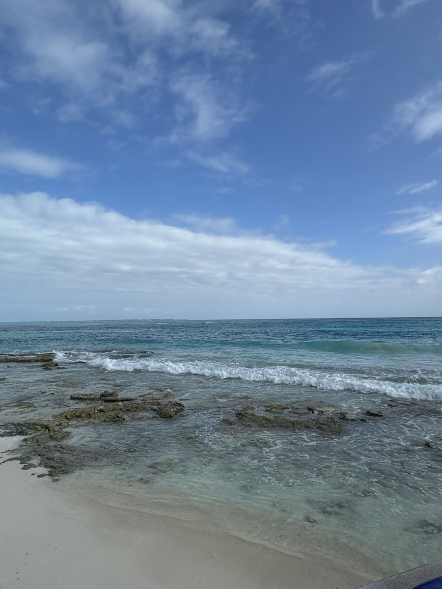 straw 🩸🗡️ tweet media