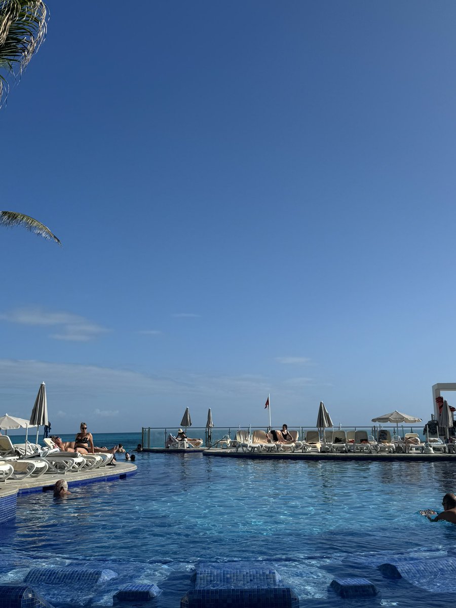 straw 🩸🗡️ tweet media