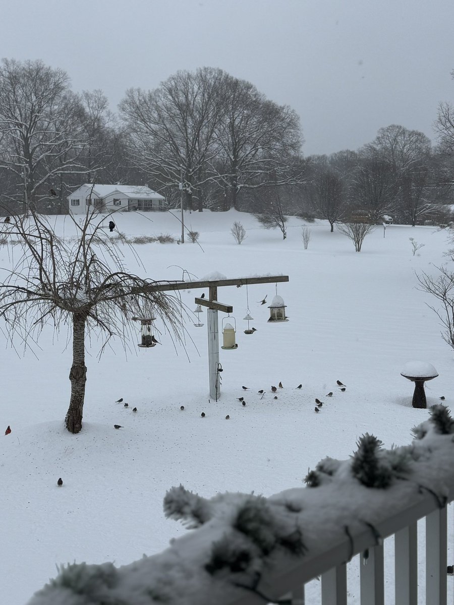 CONNIE_STEELE's tweet photo. Snow fall in St Mary’s County Charlotte Hall Md #fox5snowday https://t.co/Q5oh3J3zE5
