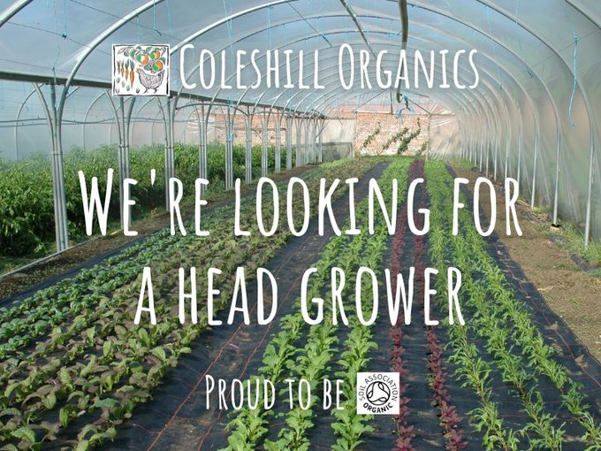 We're seeking a full-time Head Grower for our 7-acre organic walled garden, with 2-bed cottage accommodation + opportunity for share-growing arrangement👍
Please share!
On <a href="/RootsToWork/">Roots to Work</a> 👇
rootstowork.org/jobs/?job_id=5… 
<a href="/OGAgrowers/">Organic Growers Alliance</a> <a href="/ThamesOrganic/">Thames Org Growers</a> <a href="/OrgResCent/">Organic Research Centre</a> <a href="/organicplantsuk/">Jill Vaughan</a> @Ben_Raskin