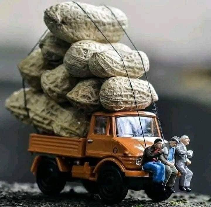 PhilomathicM's tweet photo. #Wonderful miniatures.
#engravings #sculptures #working #impressions #small #tiny #miniature #Crypto #depiction #GoldenGlobe #lockdown #mondayismonday #Virus #Musk #design #Thailand #uksnow #WINTER_HEPTAGON #creation #creativity #art #ArtistOnTwitter #love
Pics #credit to owner https://t.co/xVDkDC9PbE