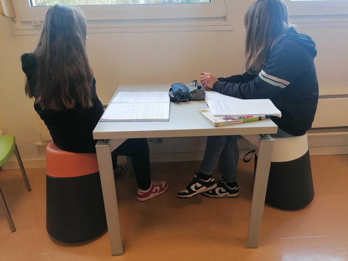 ProfdocAlbe's tweet photo. On a pris nos marques ! Un grand merci à Mme Ménard &amp; Mme Legrand de l' @ugap (Nancy) de m'avoir accompagnée ! Un grand merci au @MoselleCD57 d'avoir rendu mon projet possible ! #cdi #collegealbestroff #coinlecture #educmediasinfo #profdoc #moselle #profdocalbe #ladameduCDI57 https://t.co/oy87i6srGY