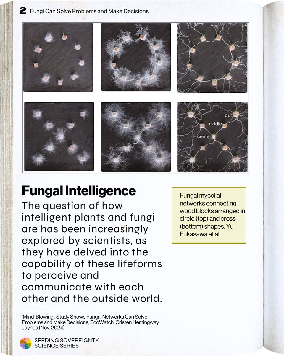 Seeding Sovereignty tweet media