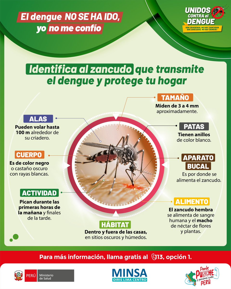 #UnidosContraElDengue | 🦟 Identifica al zancudo que transmite el dengue y protege tu hogar. Compartiendo esta información con tus amigos y familiares haces una gran diferencia.