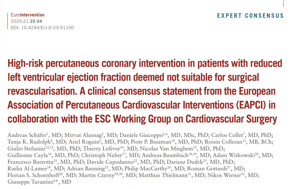 The first EuroIntervention issue of 2025 features a clinical consensus statement from the EAPCI, in collaboration with the <a href="/escardio/">European Society of Cardiology</a> Working Group on Cardiovascular Surgery, outlining procedural and technical requirements to enhance the efficacy and safety of PCI in high-risk