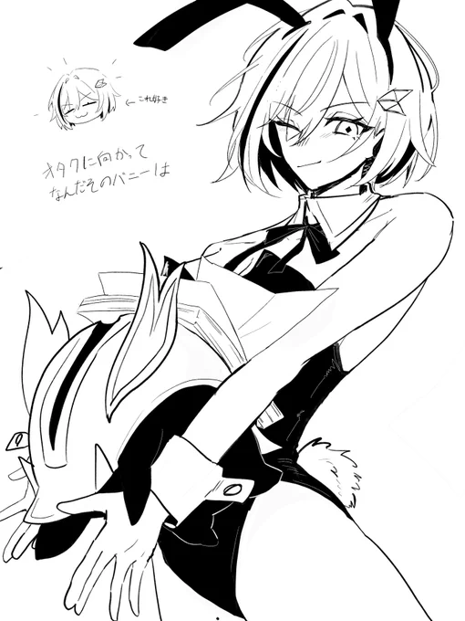 ホヨフェアの一瞬を見逃さない 