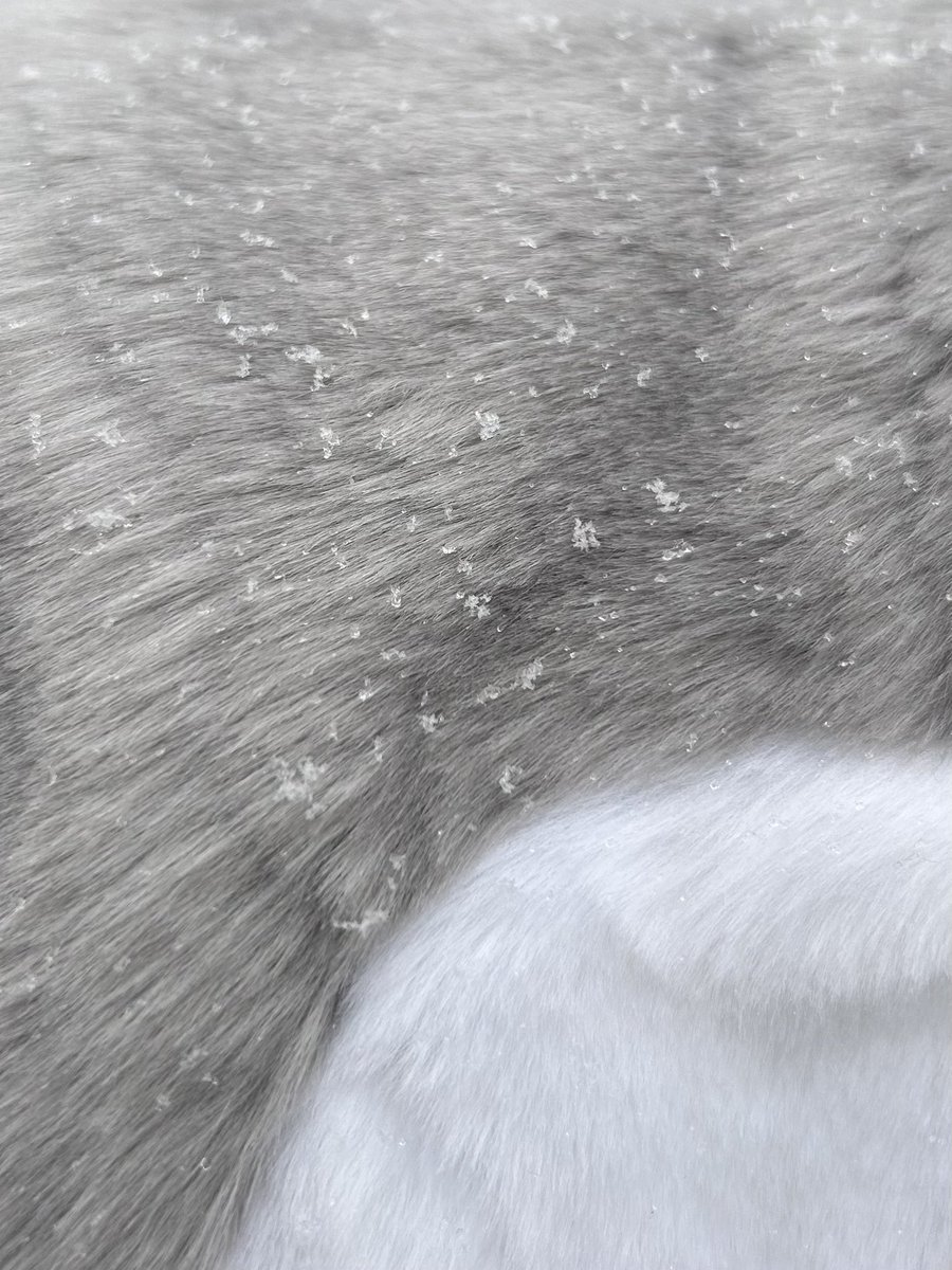 YAAAASSS it’s SNOWINGGG ❄️