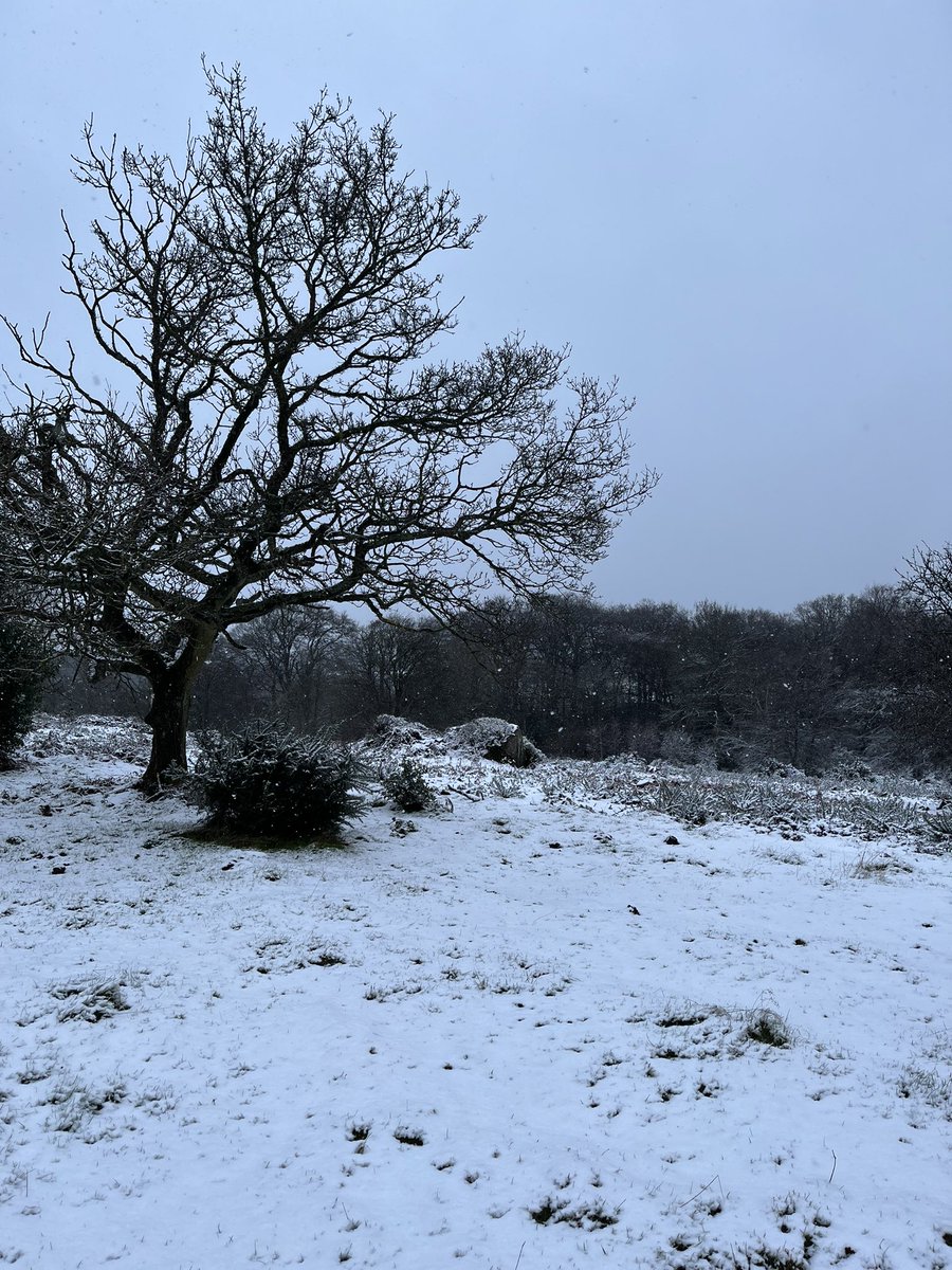 Peter Jones tweet media