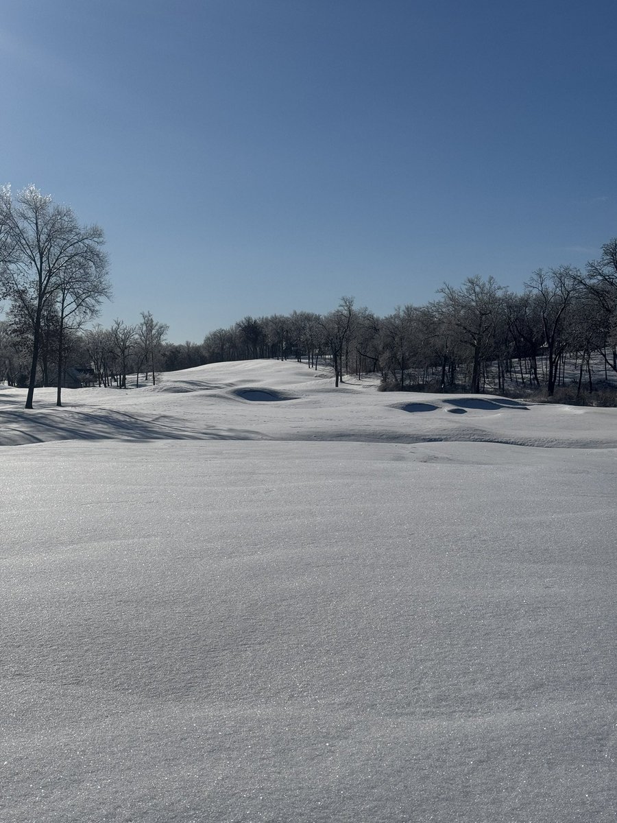 Obligatory snow pic after that epic storm for Kansas City