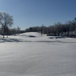 Photo by Andrew Tenholder (@TenholderTurf95)