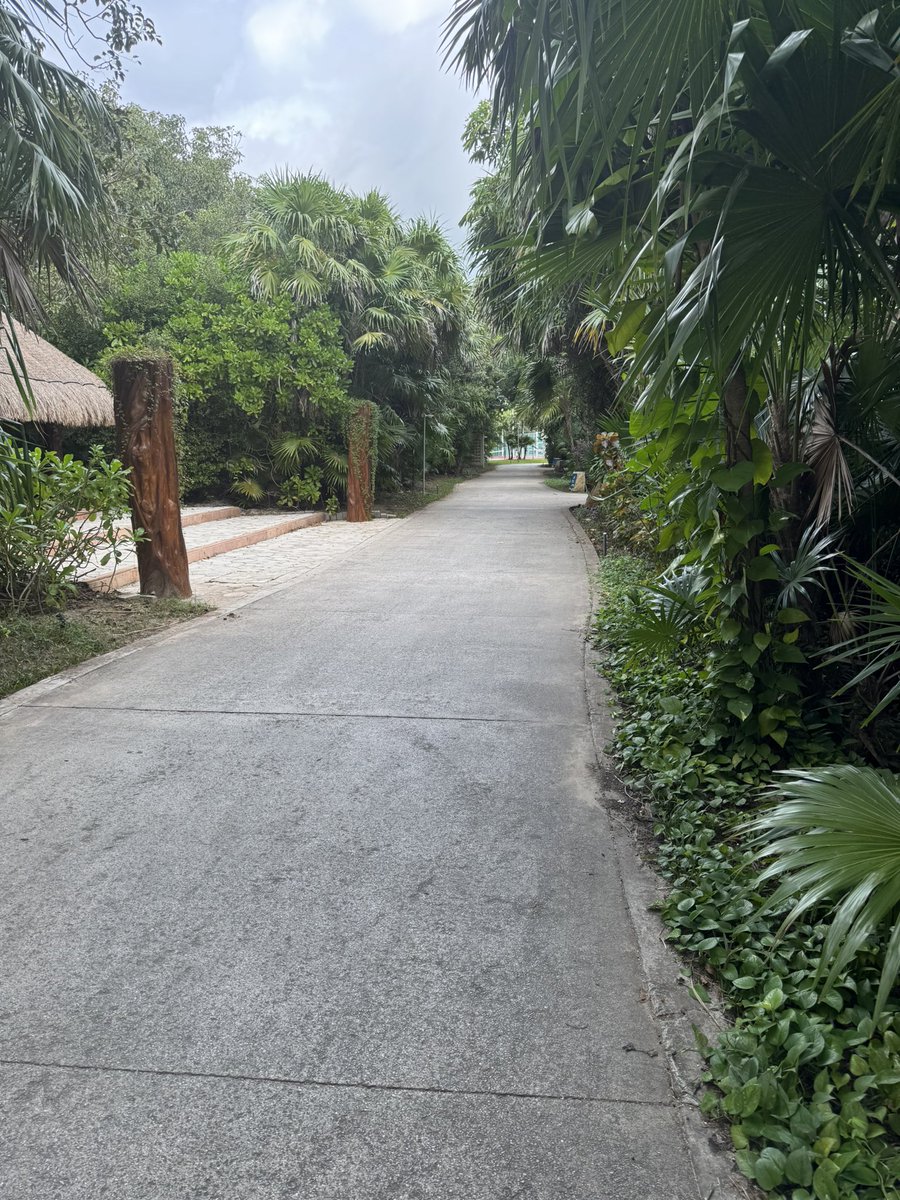 Chris Kamler tweet media